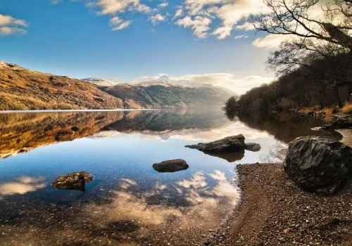 scotish_highland